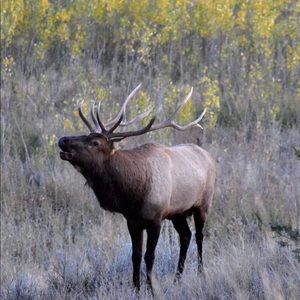 Meet your Posher, Candace